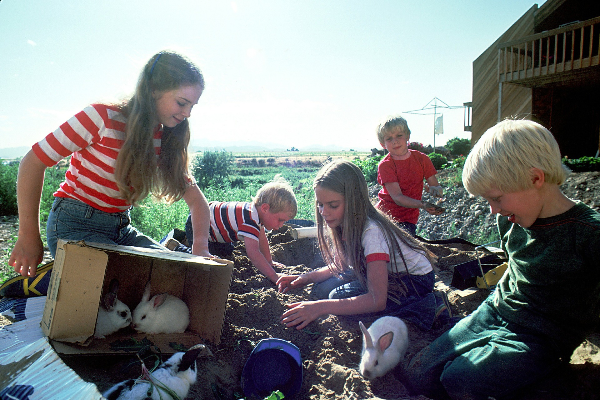 children-541879_1920