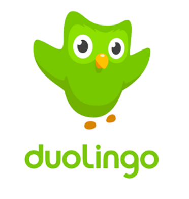 duolingo app review